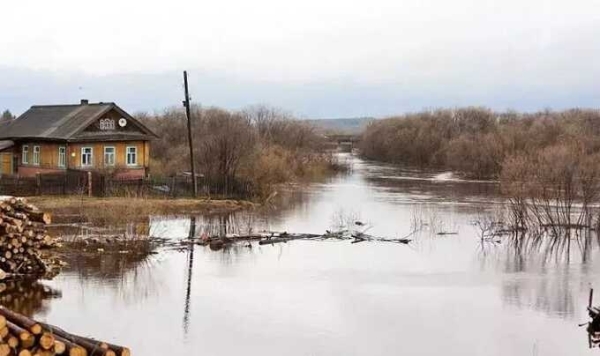 Губернатор Шумков сообщил о колоссальном объеме воды, приближающемся к Кургану